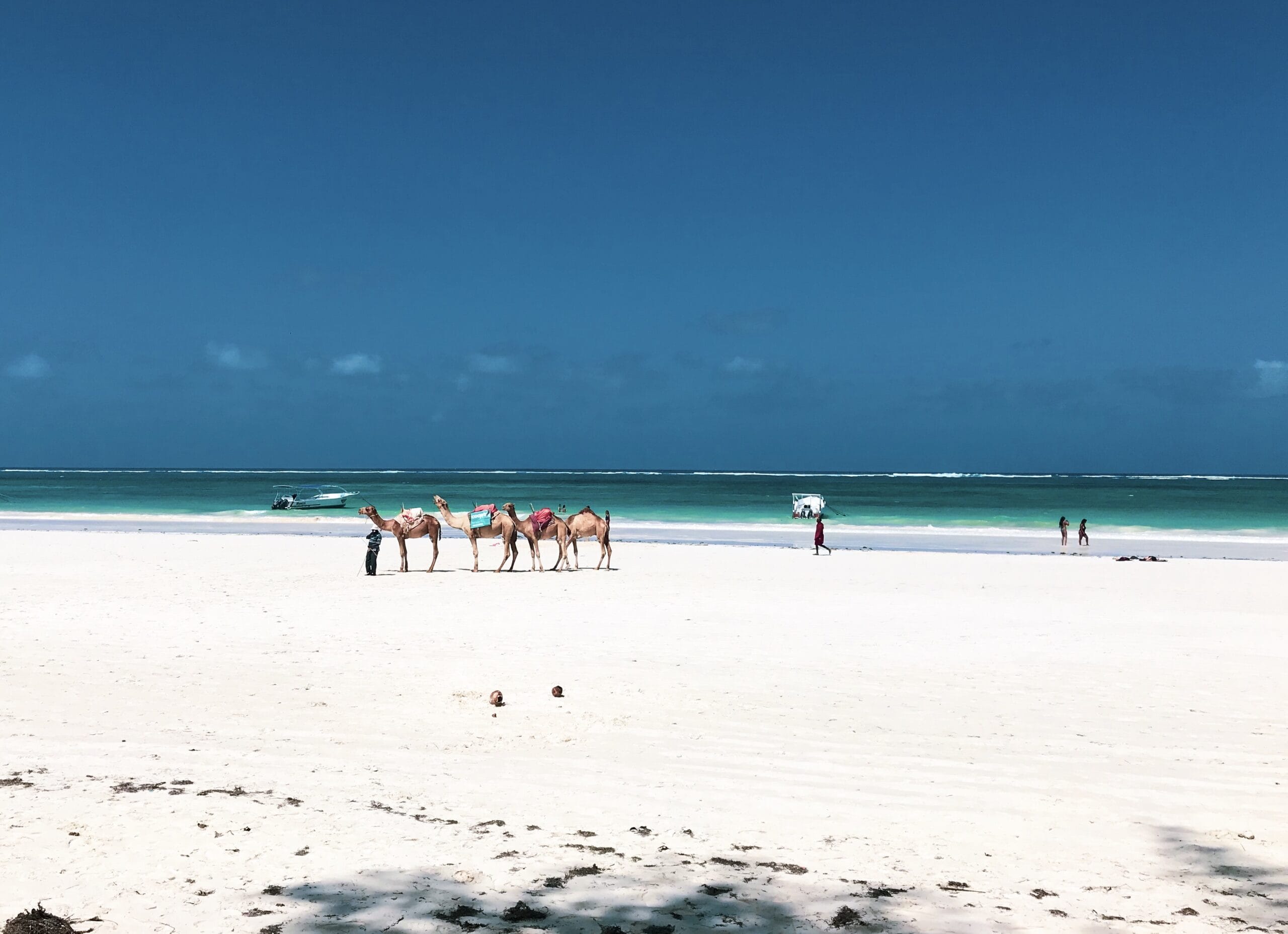 Best Things to do in Diani Beach, Kenya