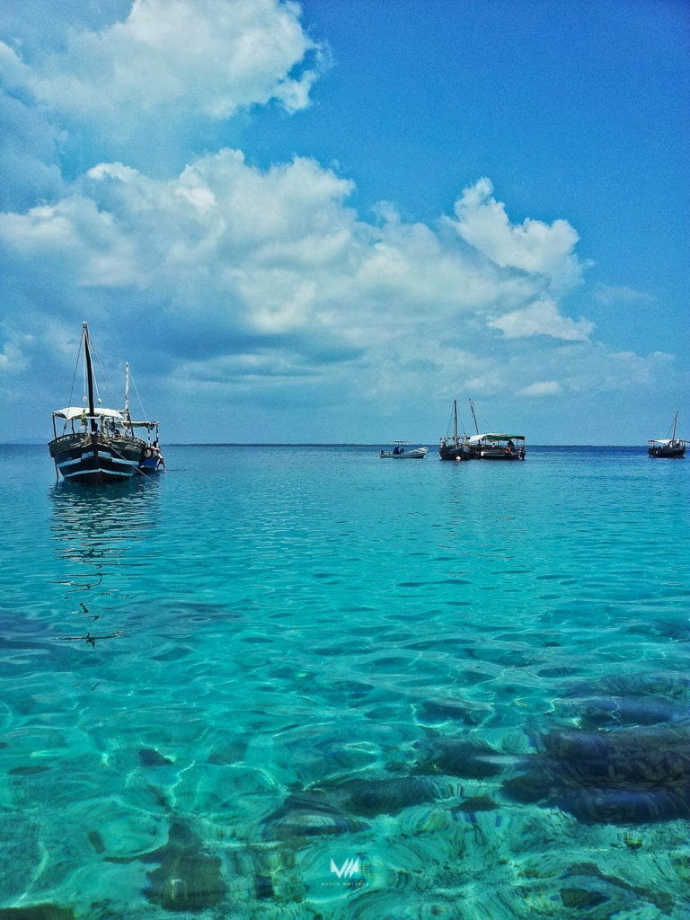 dhow excursion