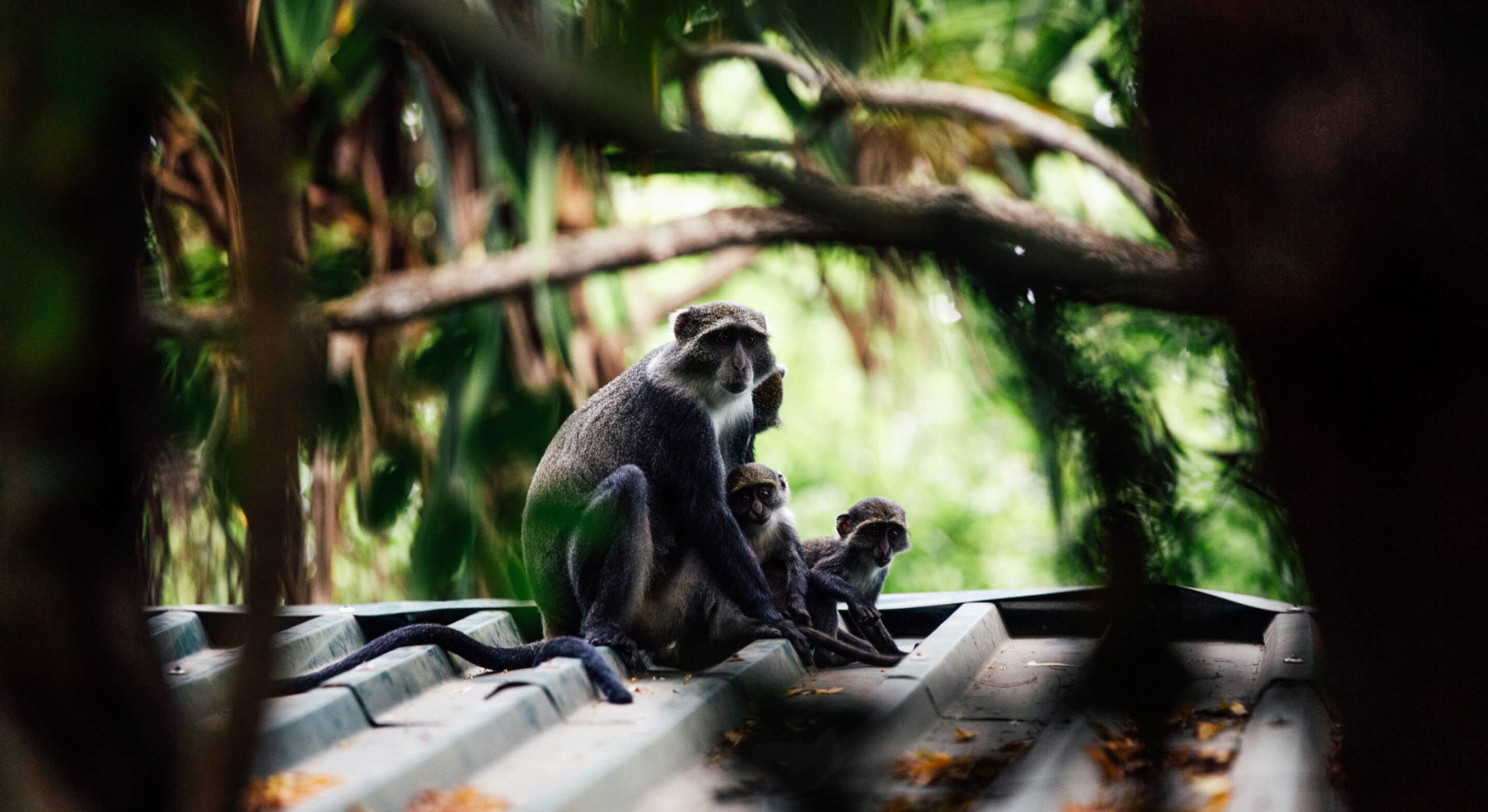 tim-johnson-MBPbRnc_3S8-unsplash 7 (1)