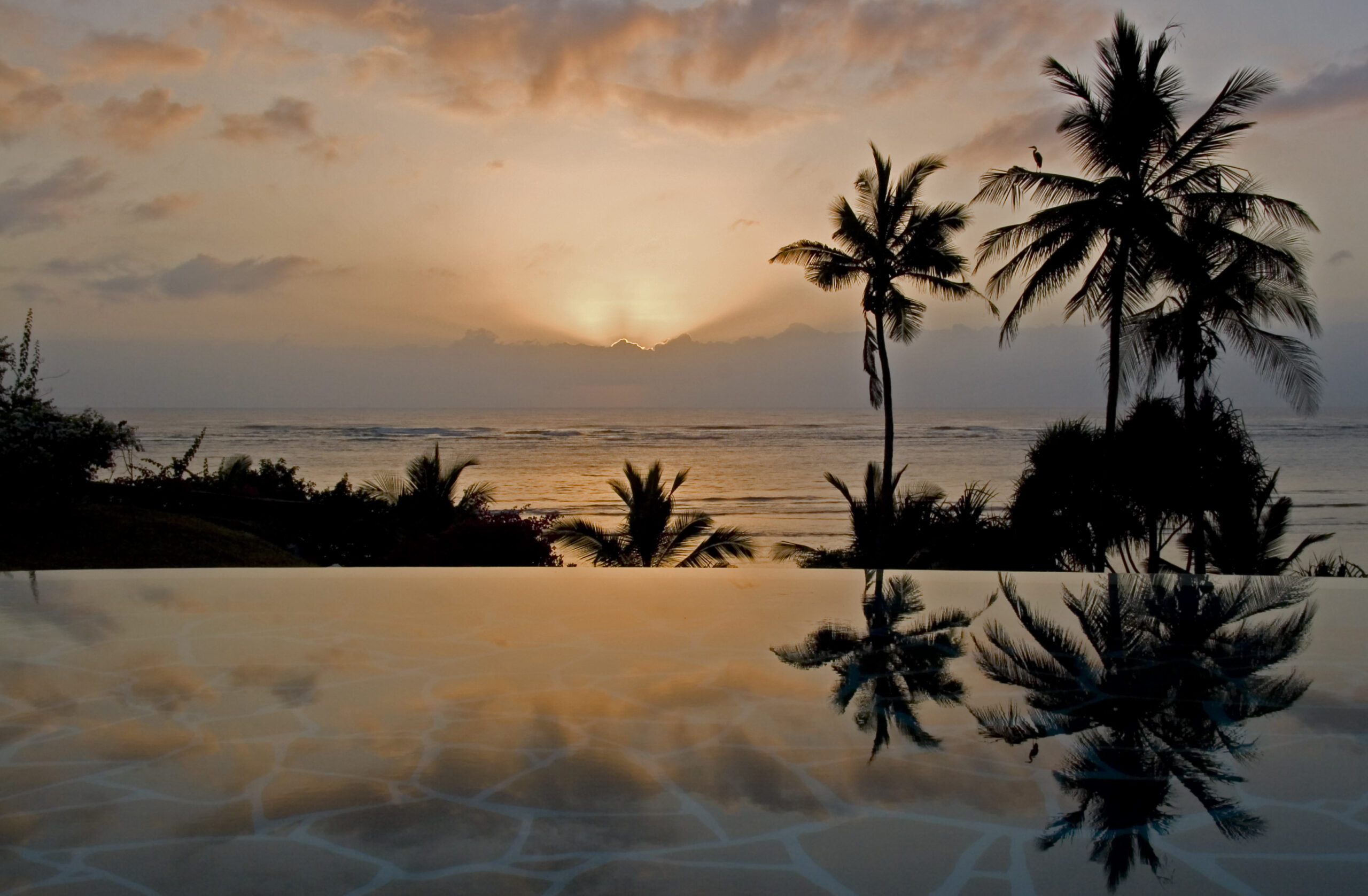 Garden_Pool