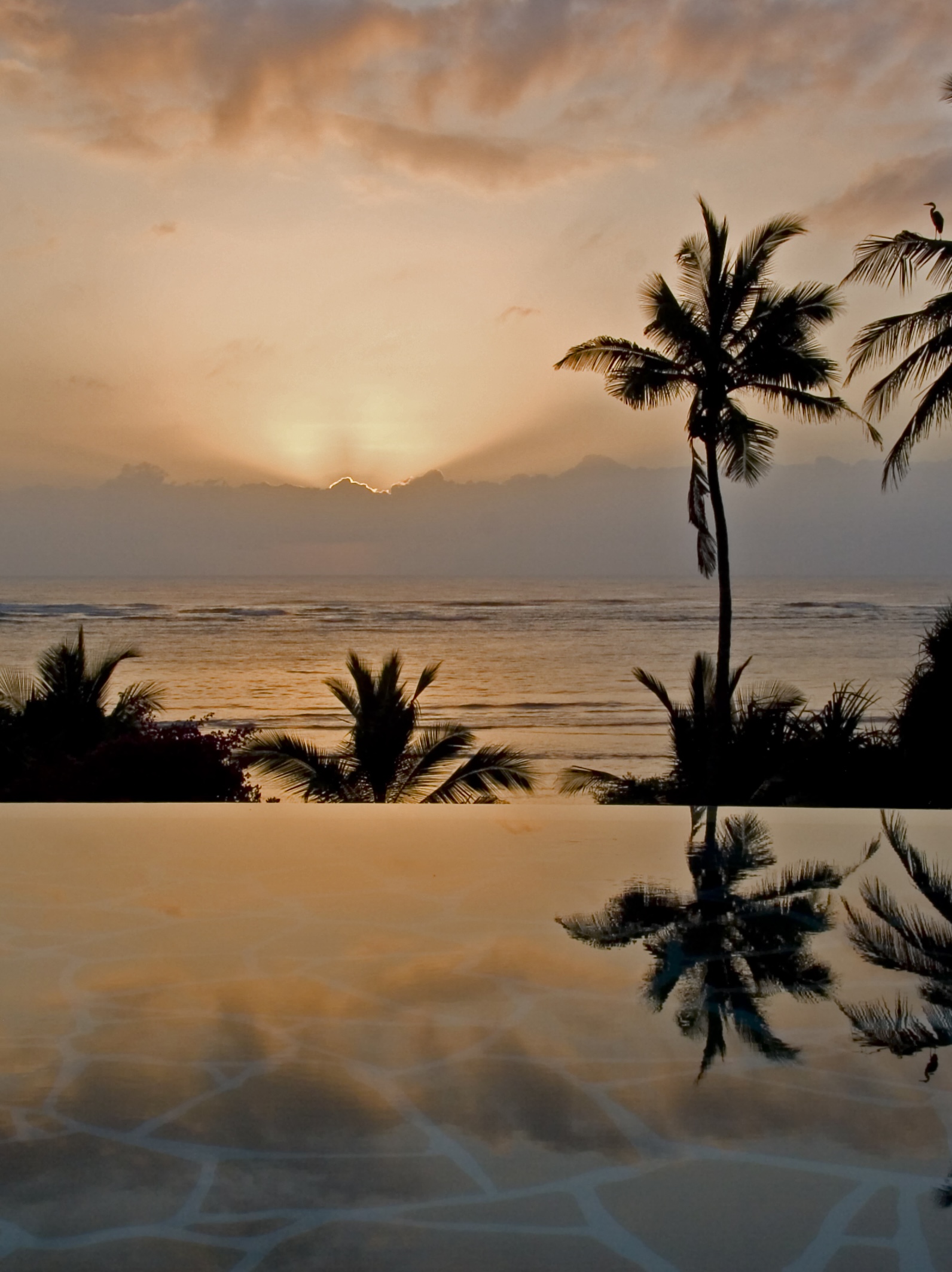 Garden_Pool1